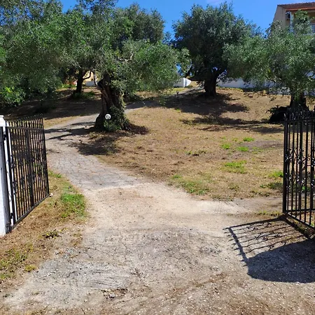 Evridiki Lejlighed