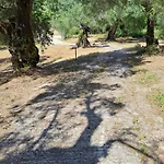 Evridiki