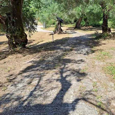 Evridiki