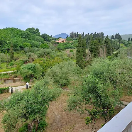 Evridiki * מסונגי
