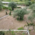 דירה Evridiki מסונגי