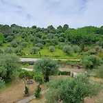 Evridiki